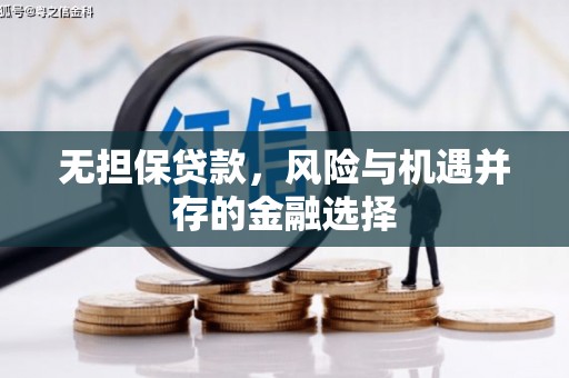 迪庆无担保贷款，风险与机遇并存的金融选择