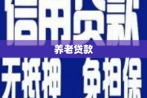 南宫养老贷款