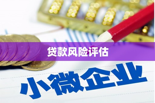 武汉贷款风险评估