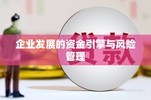 平湖企业发展的资金引擎与风险管理