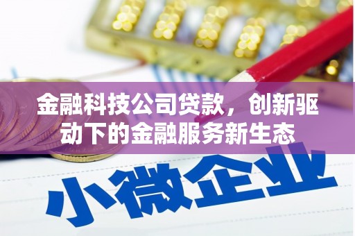 墨江金融科技公司贷款，创新驱动下的金融服务新生态