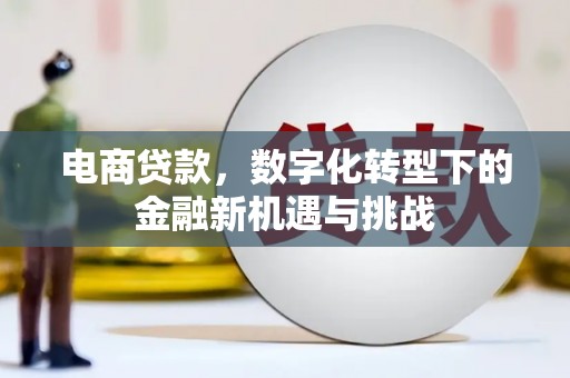 新洲电商贷款，数字化转型下的金融新机遇与挑战