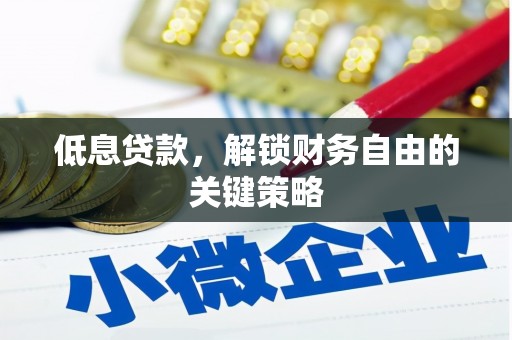 海盐低息贷款，解锁财务自由的关键策略