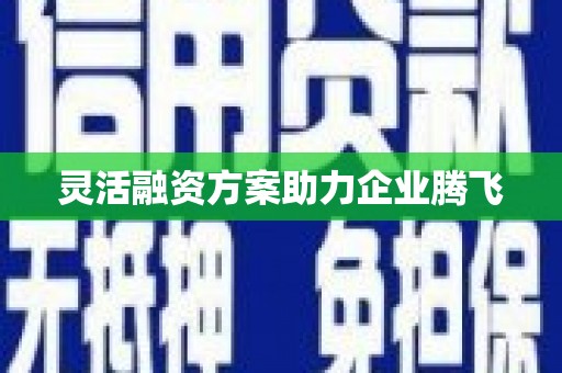 龙潭灵活融资方案助力企业腾飞
