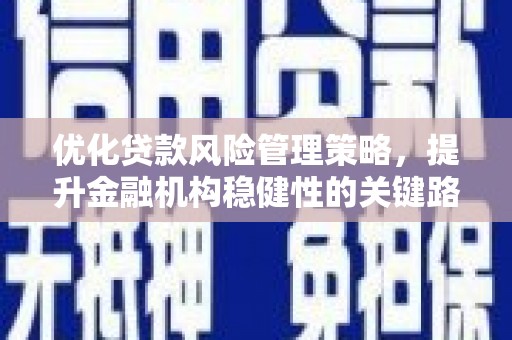 新店优化贷款风险管理策略，提升金融机构稳健性的关键路径