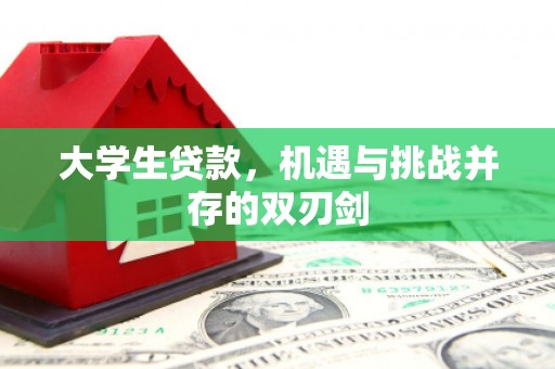 石嘴山大学生贷款，机遇与挑战并存的双刃剑