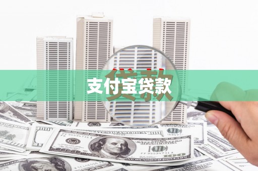 务川支付宝贷款