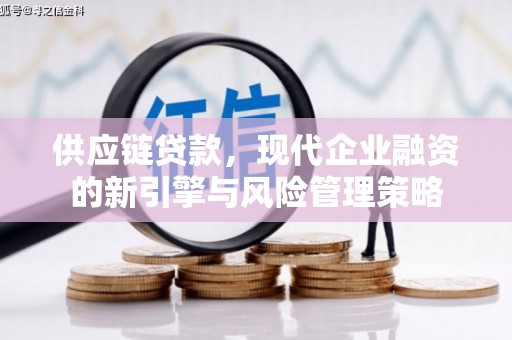 峨边供应链贷款，现代企业融资的新引擎与风险管理策略