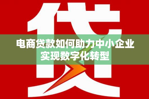 崖州电商贷款如何助力中小企业实现数字化转型