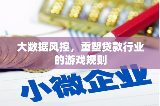 带岭大数据风控，重塑贷款行业的游戏规则