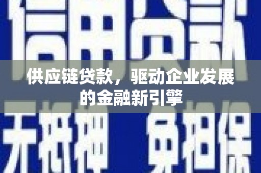 望谟供应链贷款，驱动企业发展的金融新引擎