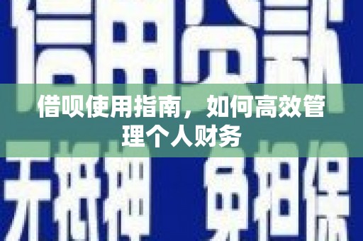 安定借呗使用指南，如何高效管理个人财务
