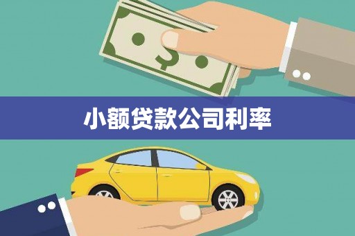 古丈小额贷款公司利率