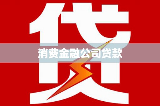 太麻里消费金融公司贷款