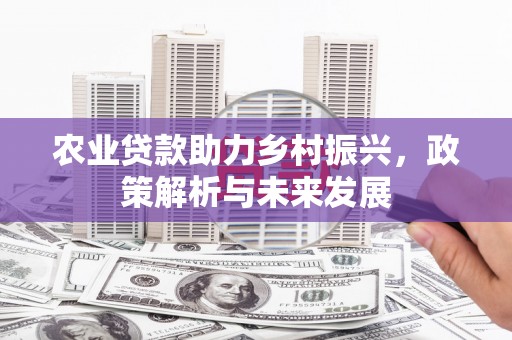 洋县农业贷款助力乡村振兴，政策解析与未来发展