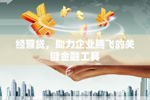 呼玛经营贷，助力企业腾飞的关键金融工具