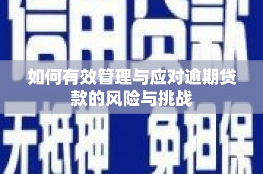 安图如何有效管理与应对逾期贷款的风险与挑战