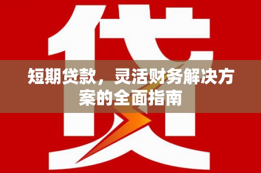 单县短期贷款，灵活财务解决方案的全面指南