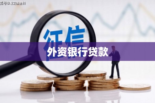岱山外资银行贷款