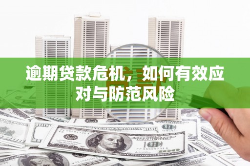 舟山新区逾期贷款危机，如何有效应对与防范风险