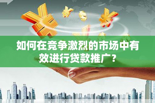 苑里如何在竞争激烈的市场中有效进行贷款推广？