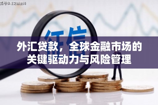 隆阳外汇贷款，全球金融市场的关键驱动力与风险管理