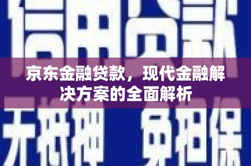 水林京东金融贷款，现代金融解决方案的全面解析