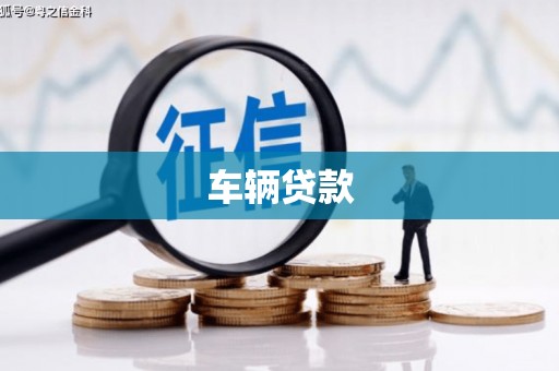 金阳车辆贷款
