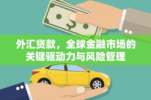 云岩外汇贷款，全球金融市场的关键驱动力与风险管理