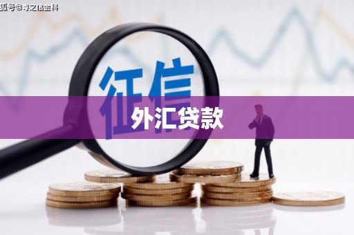 固原外汇贷款