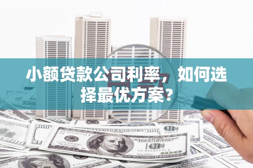 长垣小额贷款公司利率，如何选择最优方案？