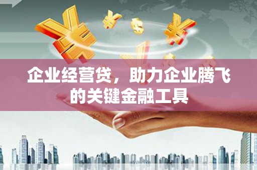 九龙企业经营贷，助力企业腾飞的关键金融工具