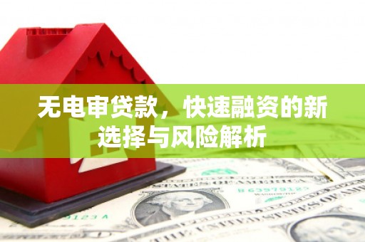 唐县无电审贷款，快速融资的新选择与风险解析