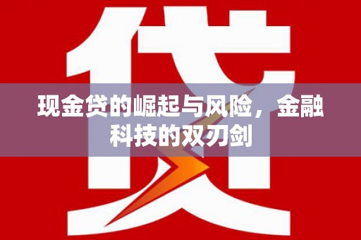 丰顺现金贷的崛起与风险，金融科技的双刃剑