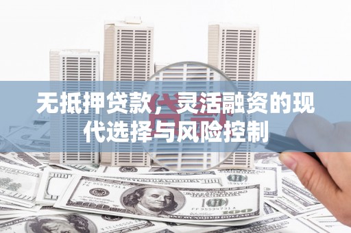 阳春无抵押贷款，灵活融资的现代选择与风险控制