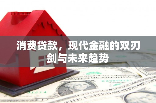 雁塔消费贷款，现代金融的双刃剑与未来趋势