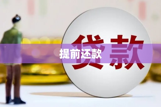 淄博提前还款