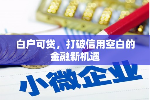 吴川白户可贷，打破信用空白的金融新机遇