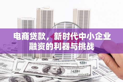 盐源电商贷款，新时代中小企业融资的利器与挑战
