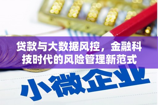 酉阳贷款与大数据风控，金融科技时代的风险管理新范式