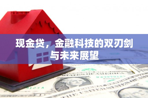 隆回现金贷，金融科技的双刃剑与未来展望