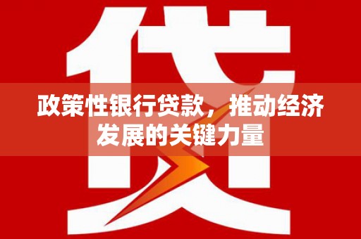 无为政策性银行贷款，推动经济发展的关键力量