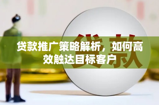 乳源贷款推广策略解析，如何高效触达目标客户