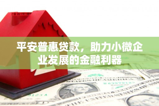 镇巴平安普惠贷款，助力小微企业发展的金融利器