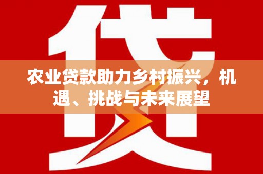 仙游农业贷款助力乡村振兴，机遇、挑战与未来展望