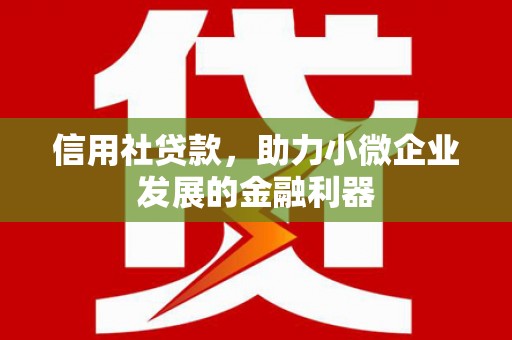 遂溪信用社贷款，助力小微企业发展的金融利器