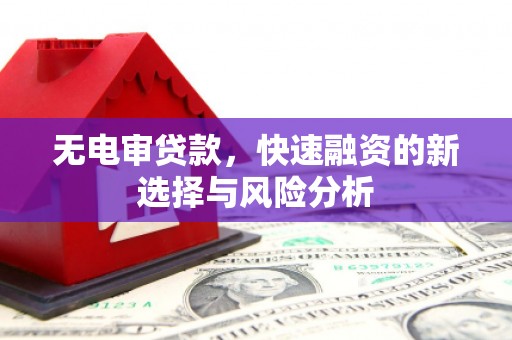 玉环无电审贷款，快速融资的新选择与风险分析