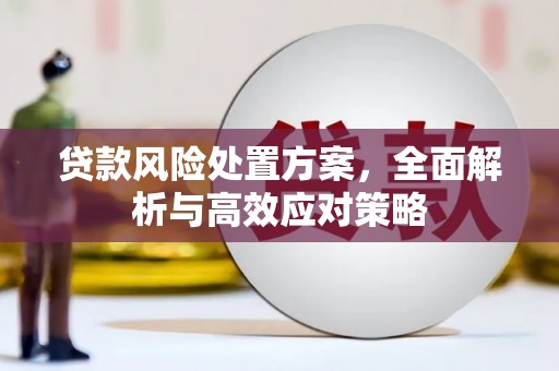 阜城贷款风险处置方案，全面解析与高效应对策略