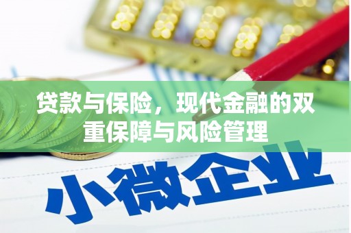龙泉驿贷款与保险，现代金融的双重保障与风险管理