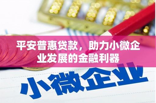 拉萨平安普惠贷款，助力小微企业发展的金融利器